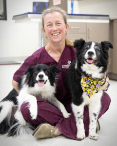 Dr. Kate Creevy with her dog at the Texas A&M clinic.Dog Aging Project, the largest companion dog health study. Founder and Chief Veterinary Officer, Dr. Kate Creevy.
