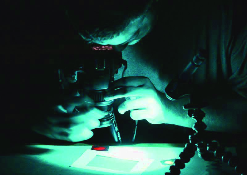 Entomology Ph.D. - College of Agriculture & Life Sciences