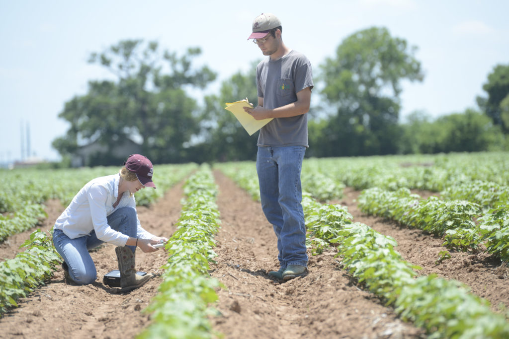 Soil Science Masters - College Of Agriculture & Life Sciences