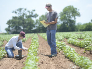Students in research plots