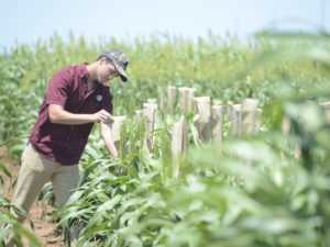 Student in research plots