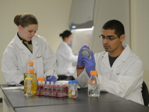 Students in lab