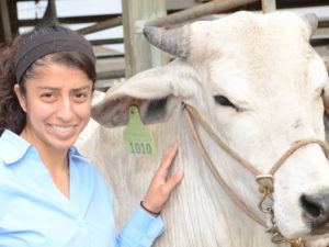 Student posing with cow