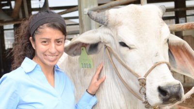 Student posing with cow