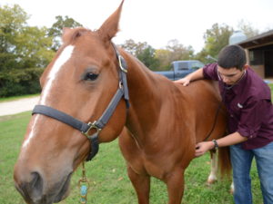 Student with horse