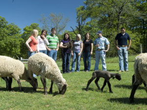 Students in field with sheep