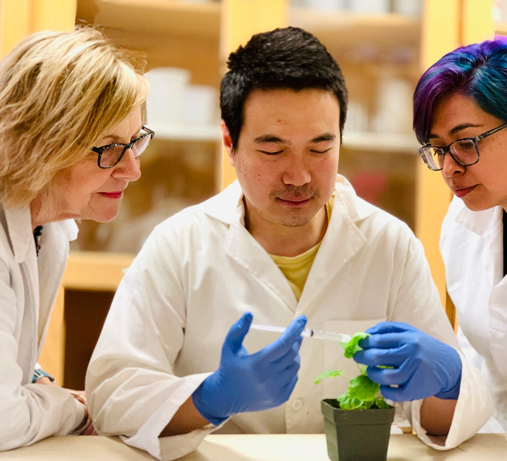 researchers looking at plant