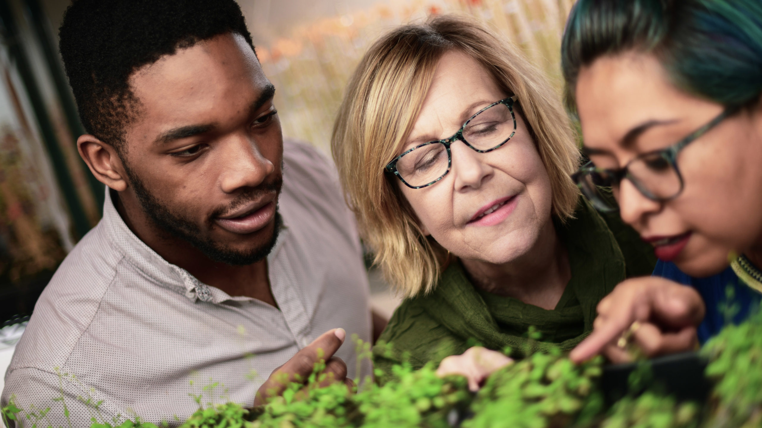 Three people of various ages looking at a green plant