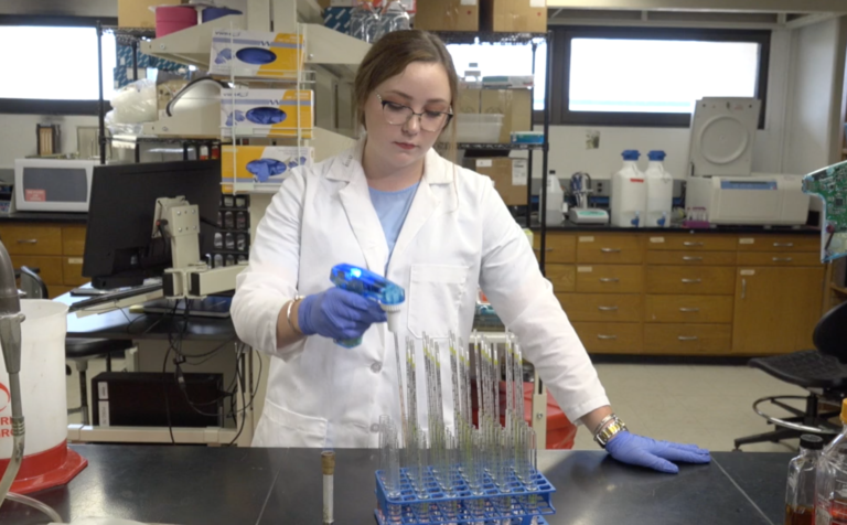 Student working in lab