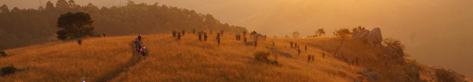 Swaziland landscape header image