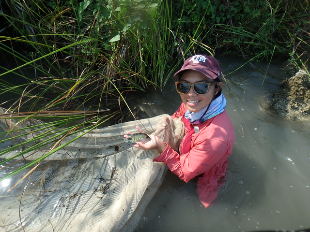 Student standing in water holding a fish.