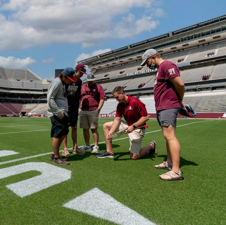 students examining the turfgrass at Kyle Field