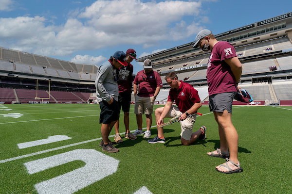Four students and one professor examining the turfgrass on Kyle Field