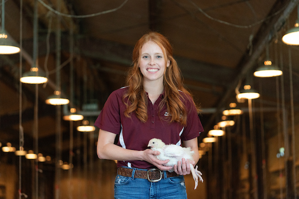 Woman with red hair in a maroon shirt holding a chicken in a barn