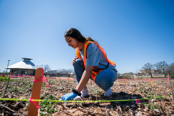 Woman in a high-vis vest collecting a soil sample from a staked area on the ground