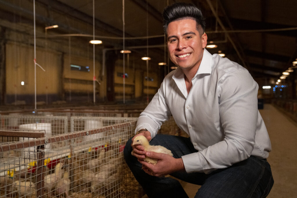 Daniel DeLeon crouching in a barn with chickens, holding a baby chicken